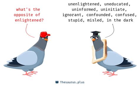 opposite of enlightened.